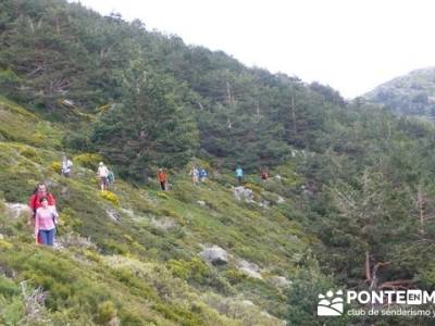 Senderismo Sierra de Guadarrama - Mujer Muerta; monasterios en navarra